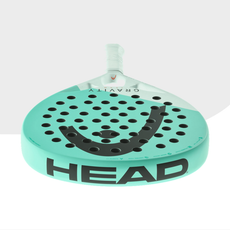 Head Gravity Team 2024